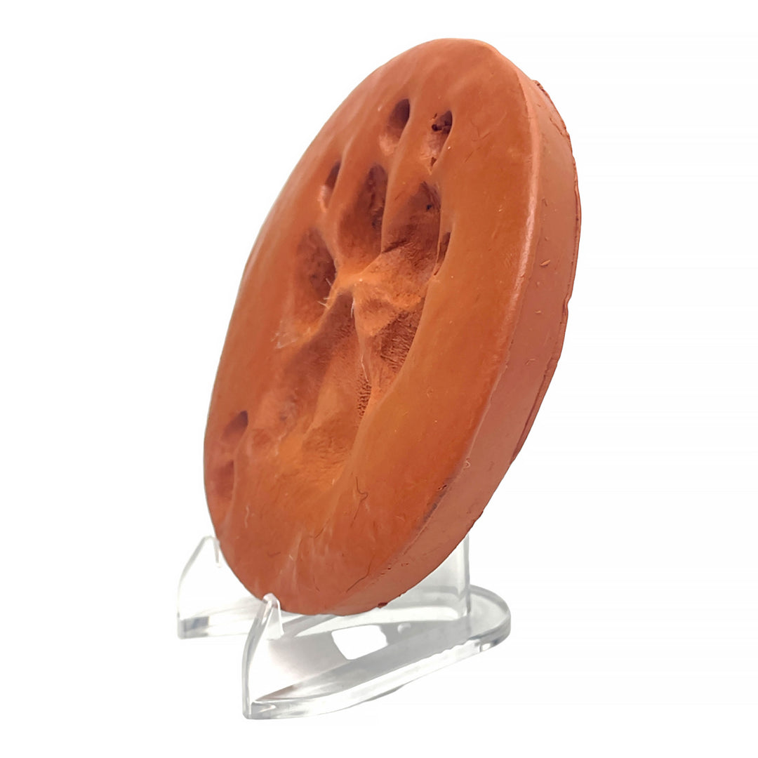 Velvet-Backed Clay Paw Print Memorial with Stand
