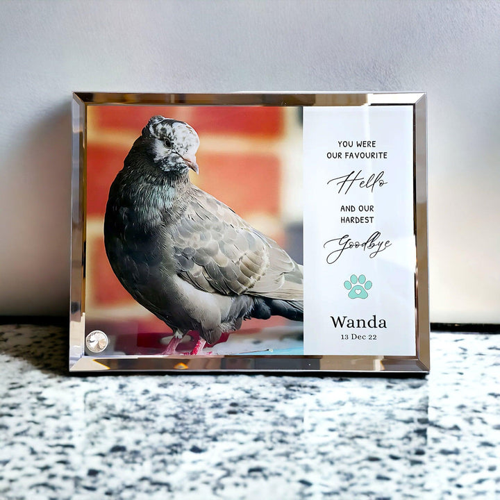 'My/Our Hardest Goodbye' Sublimated Pet Memorial Mirror Edge on Glass Tribute - Angel Ashes