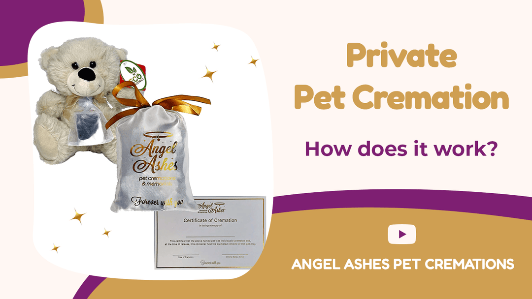 Angel Ashes Pet Cremations | Private Pet Cremation Service Information - Angel Ashes