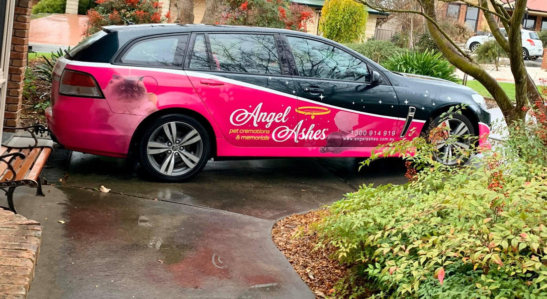 Avail Advantages Of Private Pet Cremation Services In Adelaide - Angel Ashes