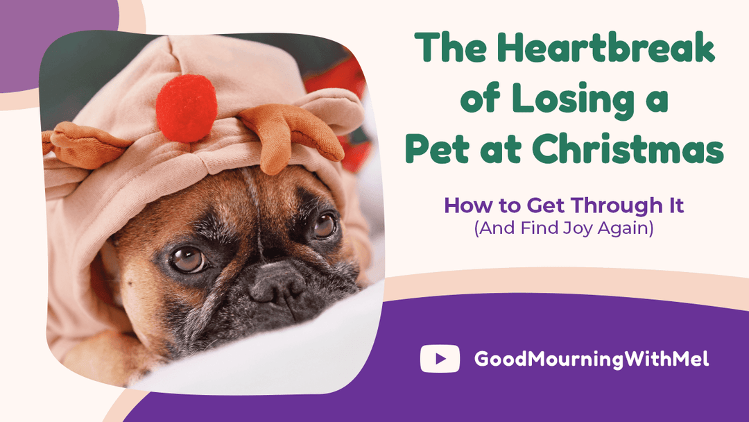 The Heartbreak of Losing a Pet at Christmas: How to Get Through It (And Find Joy Again) - Angel Ashes