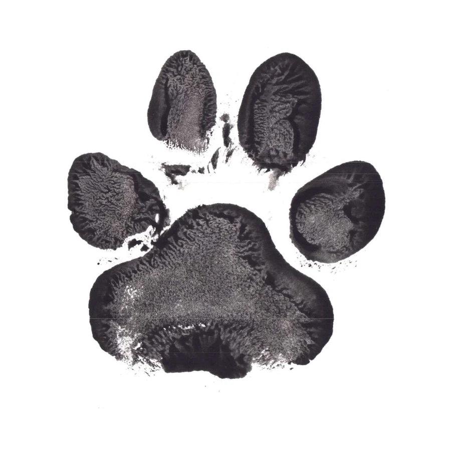Pet memorial keepsakes including paw prints, fur keepsakes and memorial art - Angel Ashes