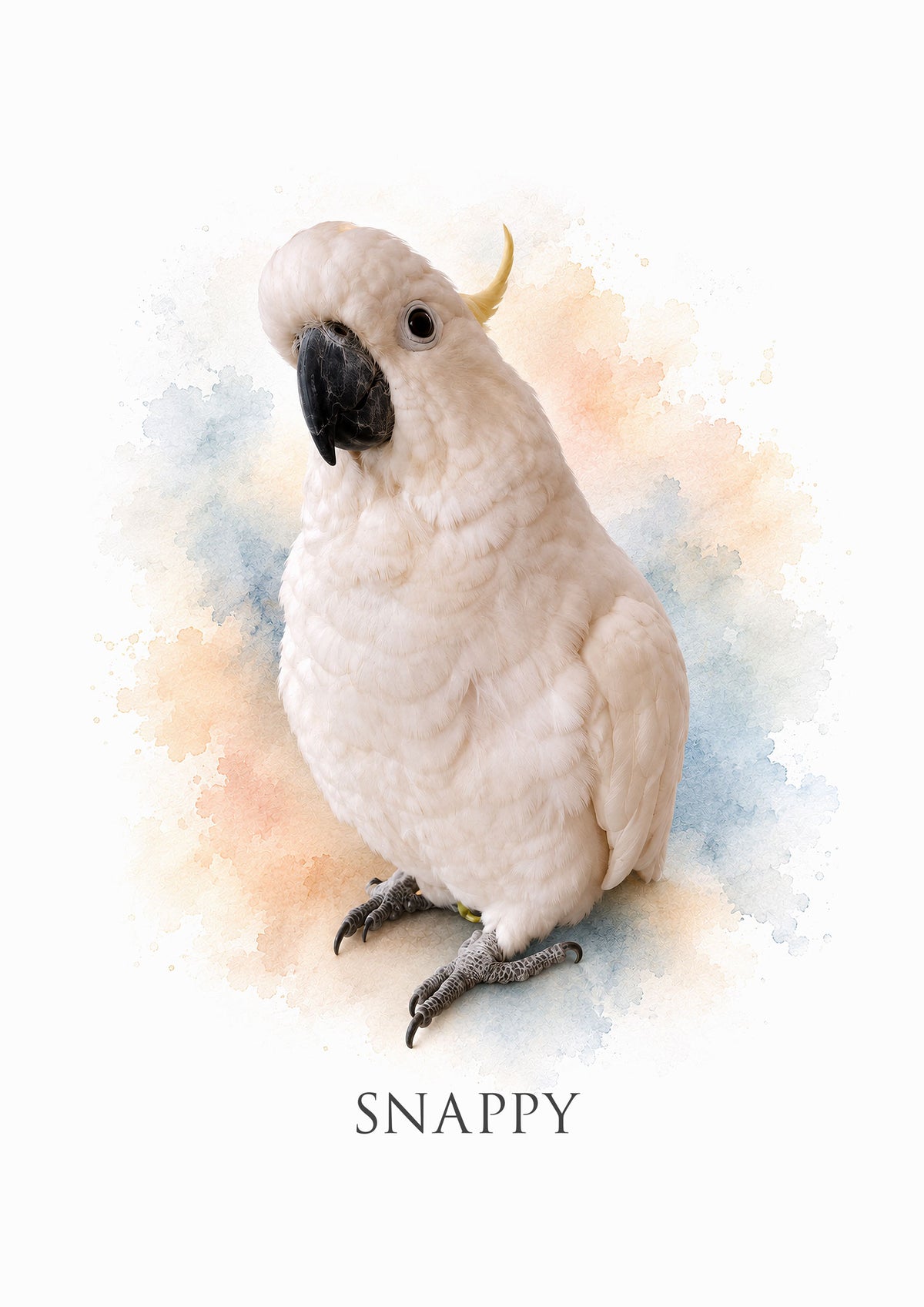 Custom watercolour pet portrait of Snappy the cockatoo