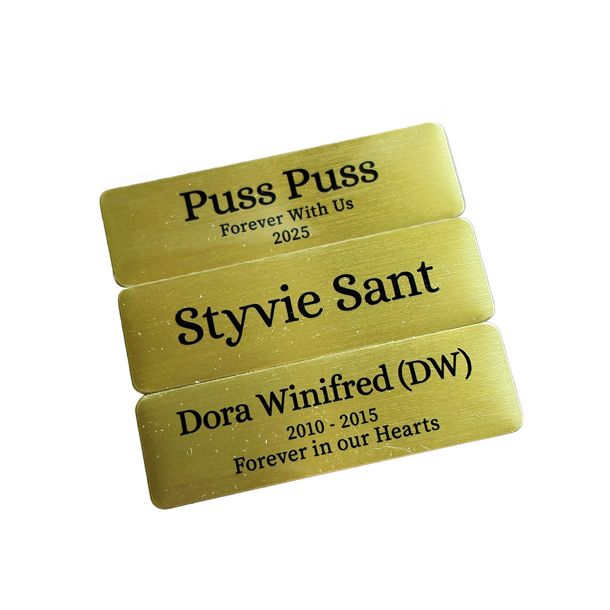 Silver Custom Pet Name Plate | Personalised Memorial Name Plates for Pets | 64x19 mm