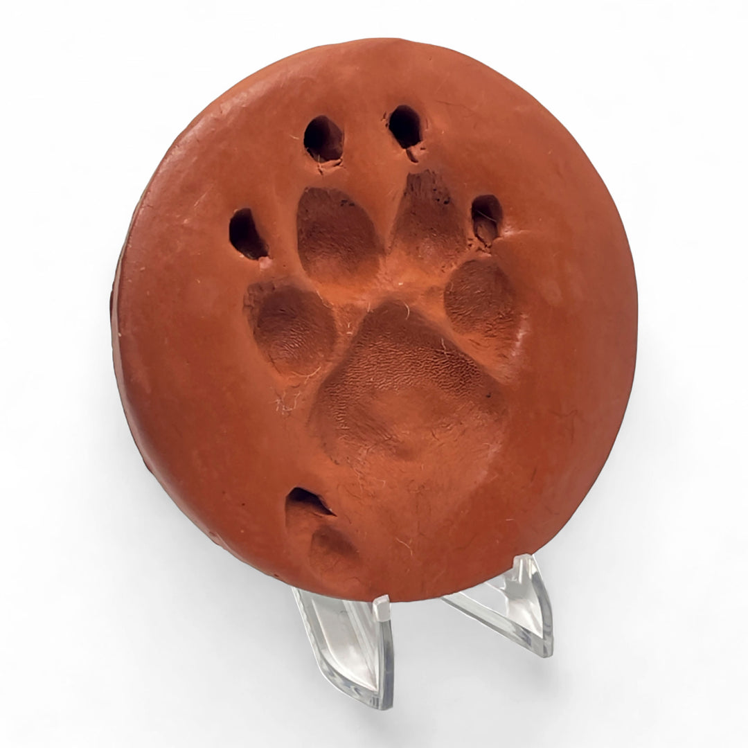 Clay Paw Print Impression with Acrylic Stand - Terracotta Finish