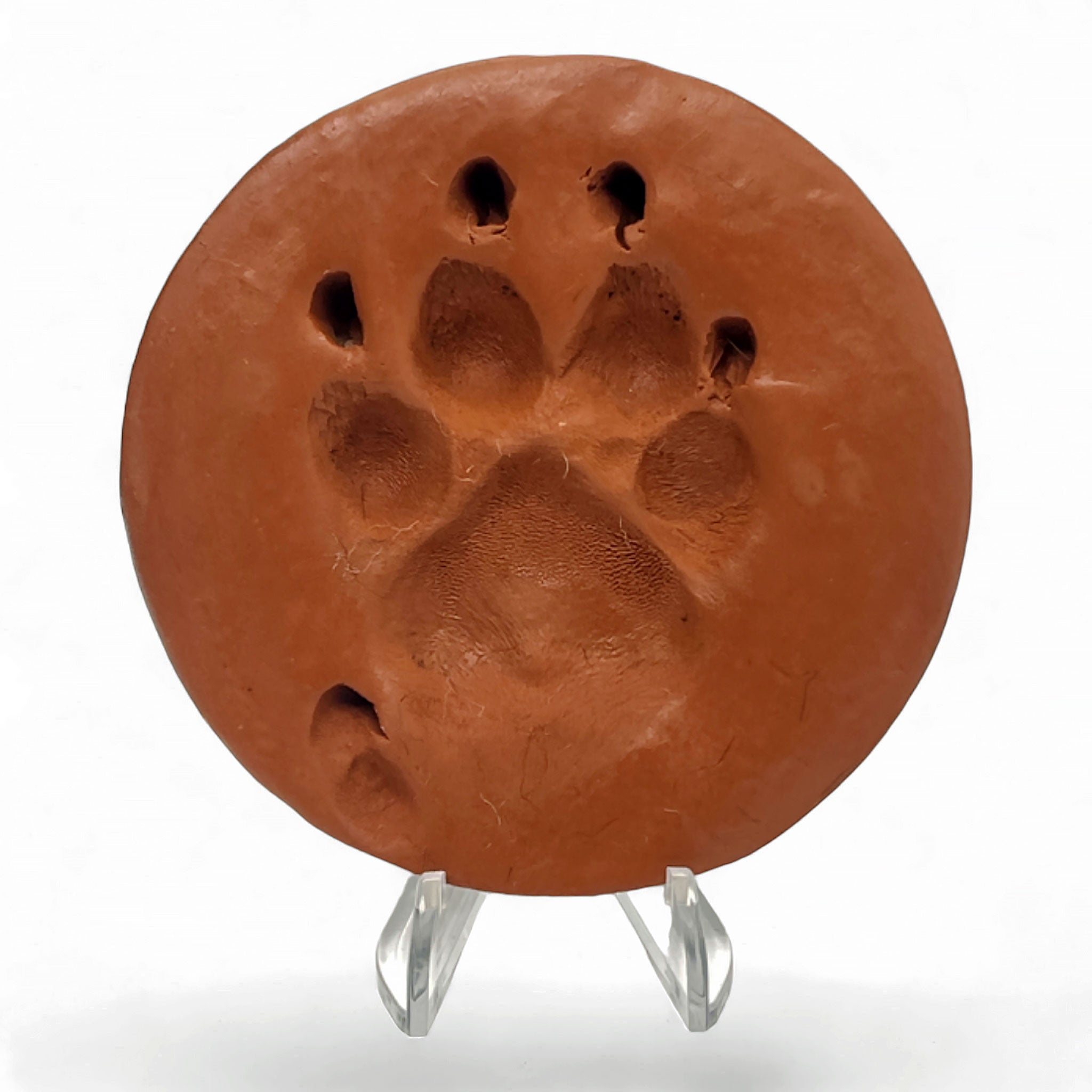 Velvet-Backed Clay Paw Print Memorial with Stand