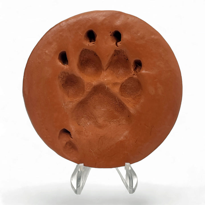 Clay Paw Print Impression with Acrylic Stand - Terracotta Finish