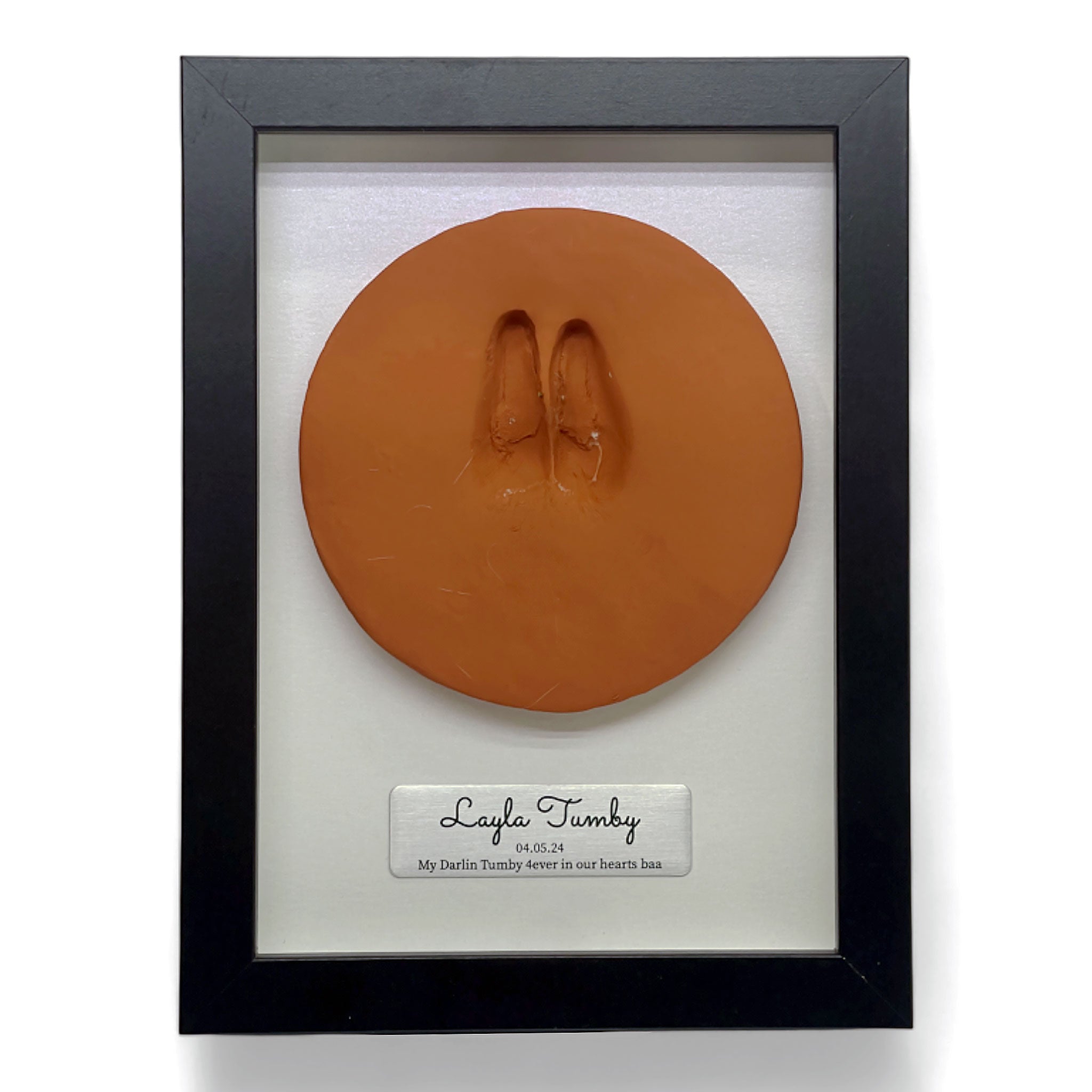 Framed Clay Paw Print Memorial with Nameplate