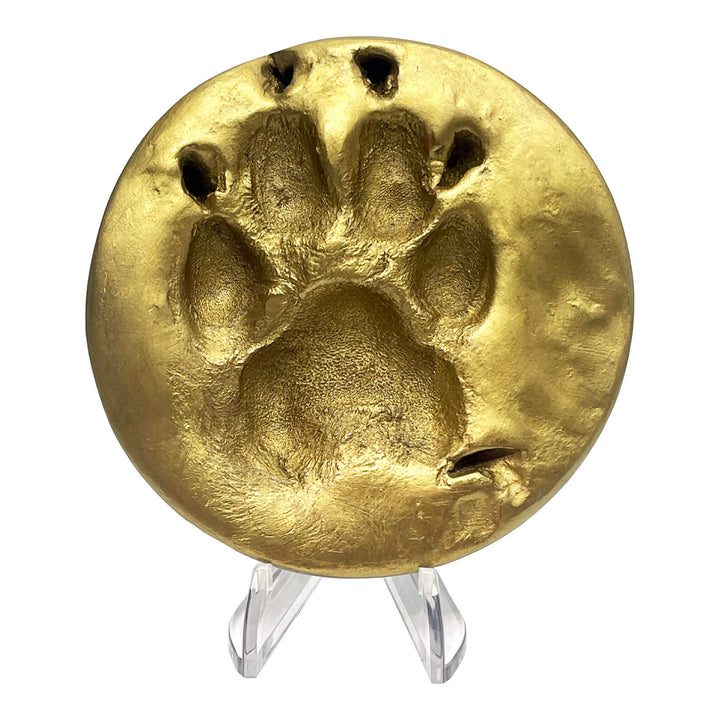 Clay Paw Print Impression with Acrylic Stand - Gold Foil Finish