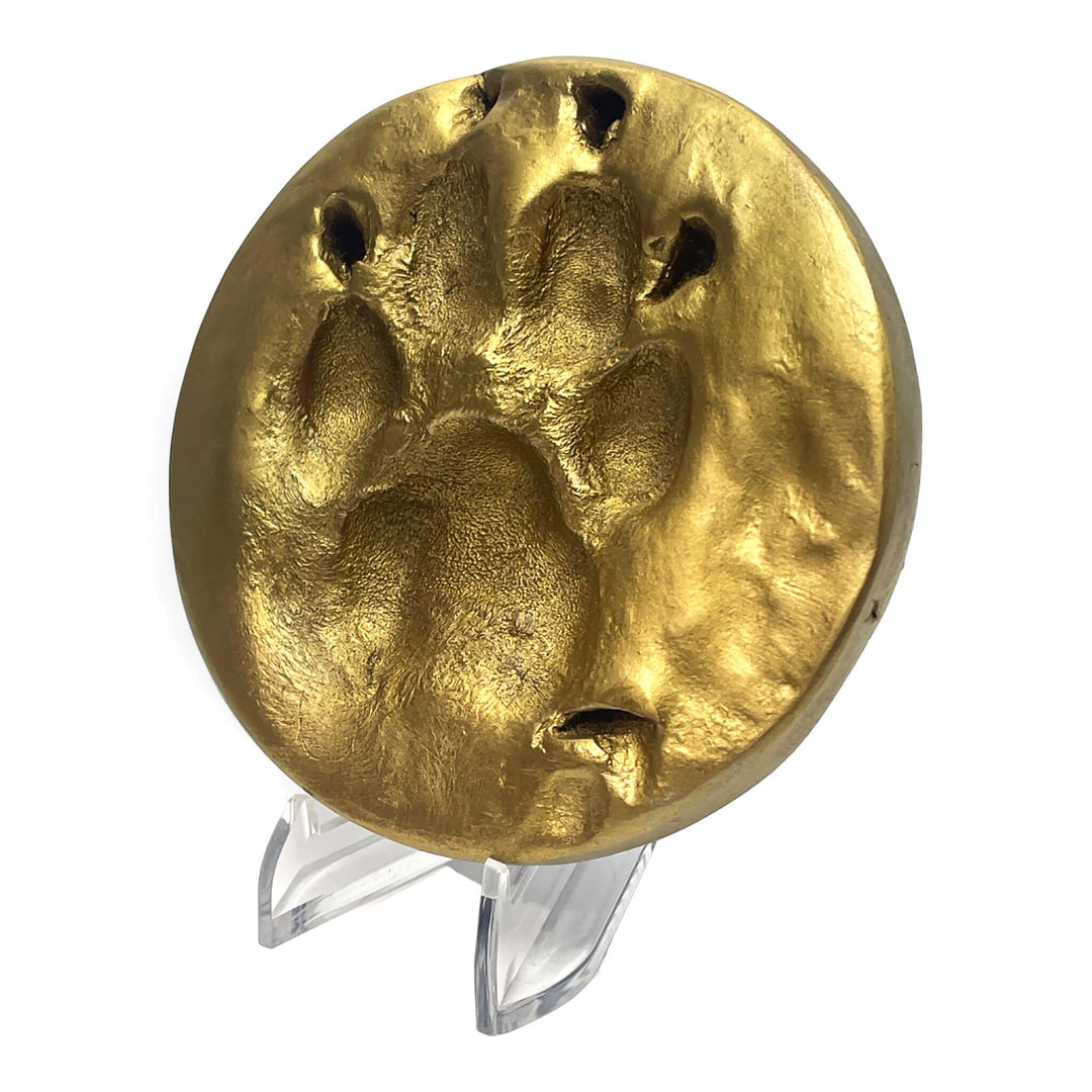 Clay Paw Print Impression with Acrylic Stand - Gold Foil Finish