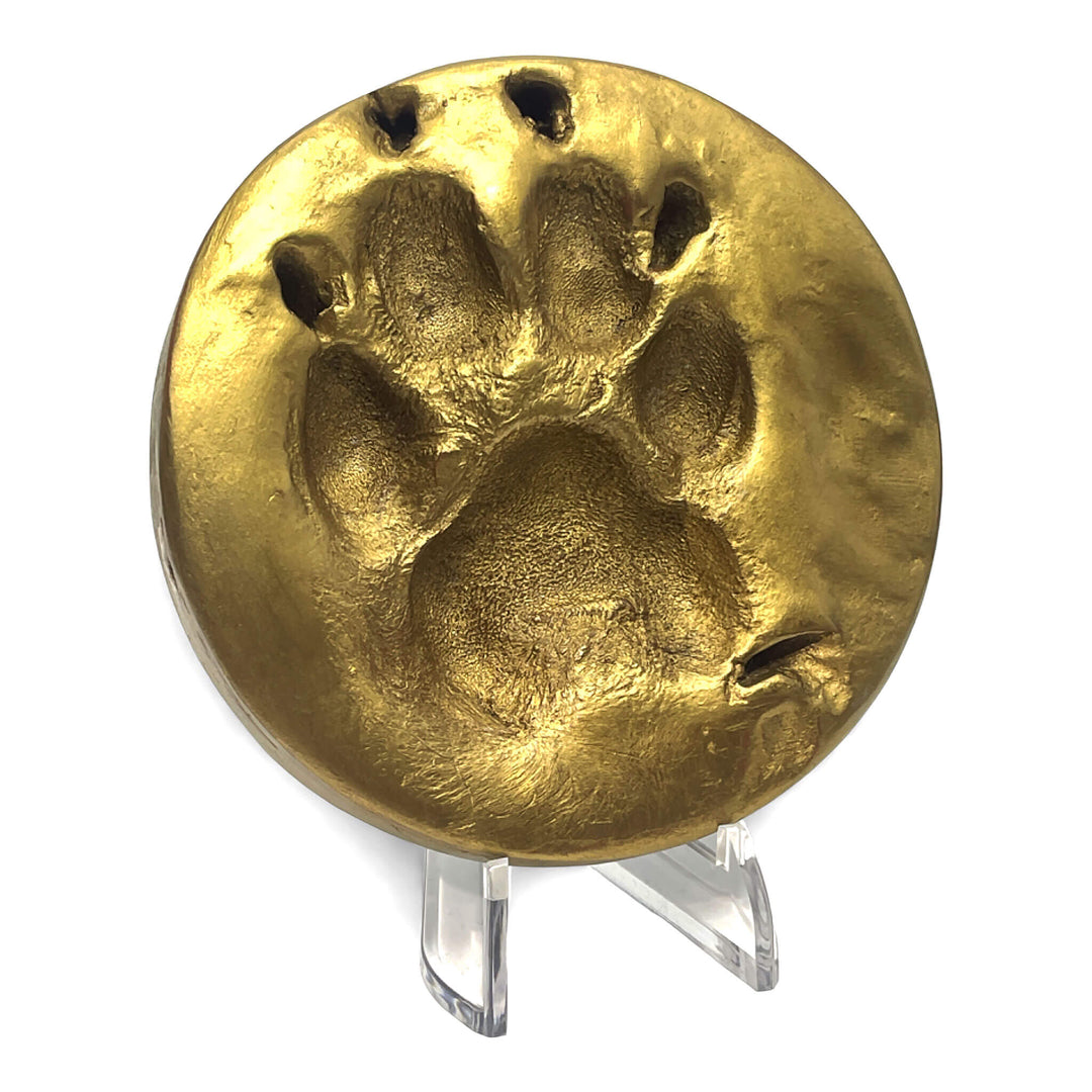 Clay Paw Print Impression with Acrylic Stand - Gold Foil Finish