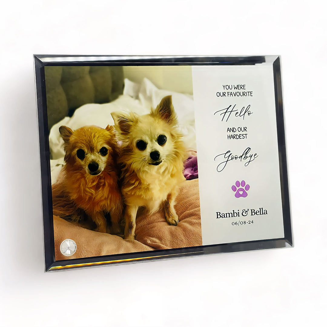 'My/Our Hardest Goodbye' Sublimated Pet Memorial Mirror Edge on Glass Tribute