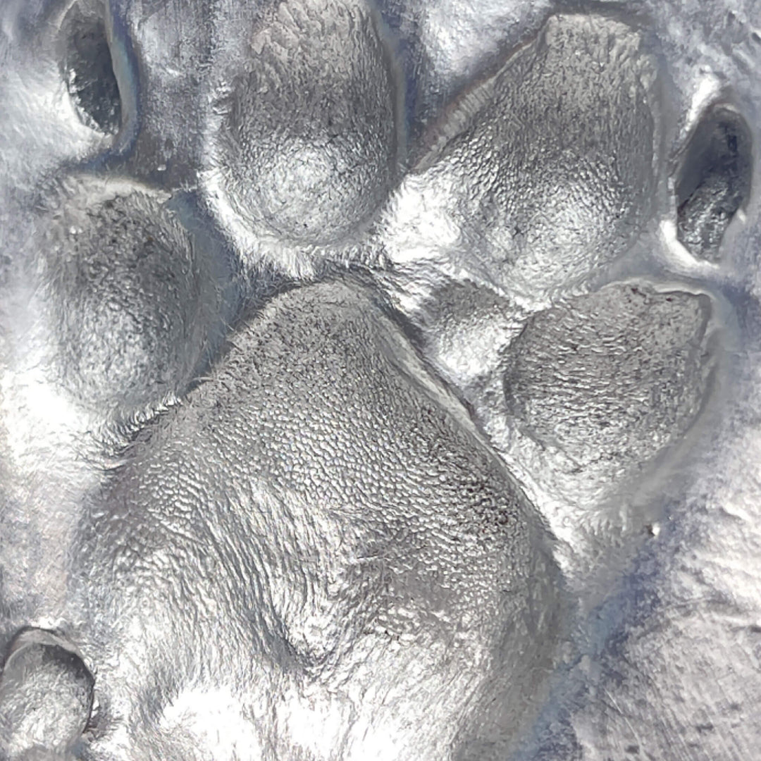 Clay Paw Print Impression with Acrylic Stand - Silver Foil Finish