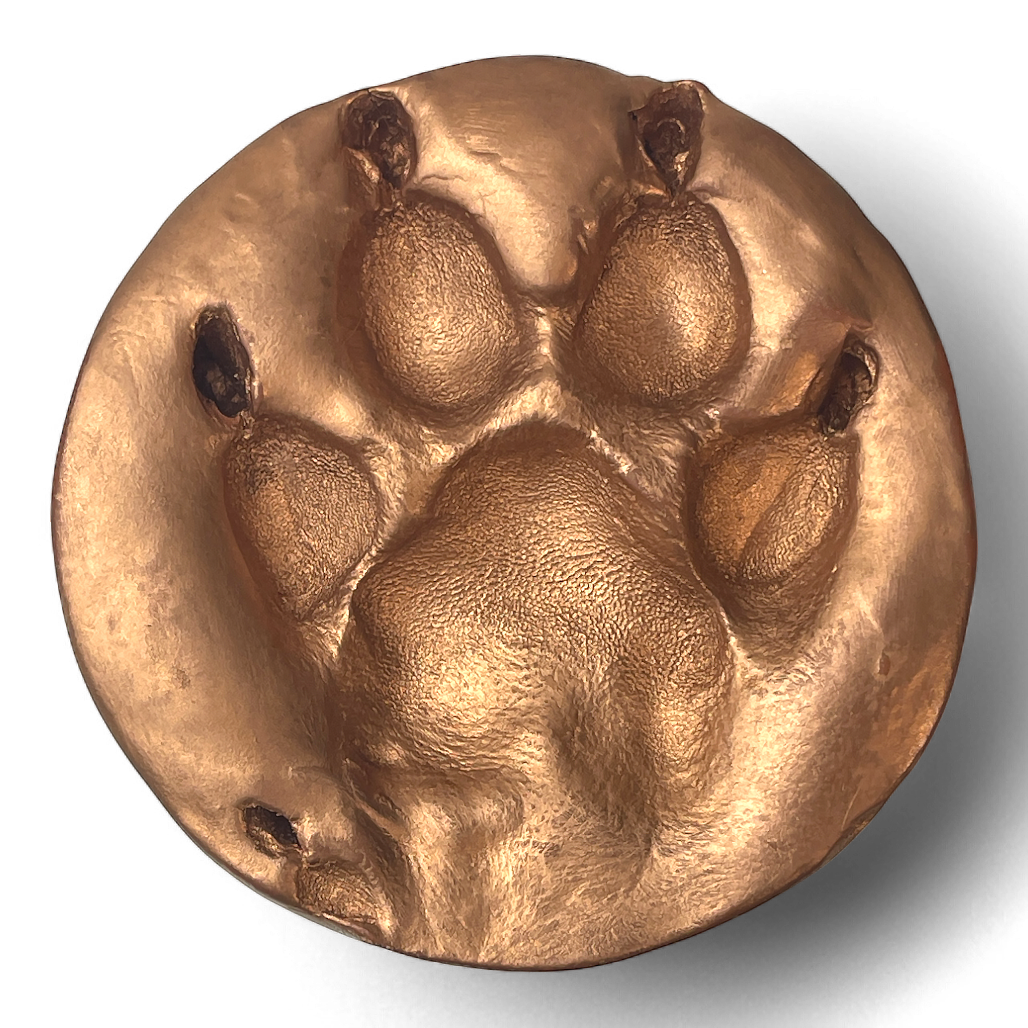 Clay Paw Print Impression with Acrylic Stand - Autumn Gold Foil Finish