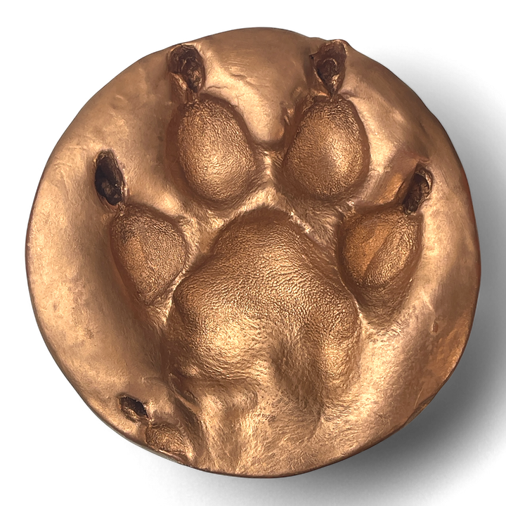 Clay Paw Print Impression with Acrylic Stand - Autumn Gold Foil Finish