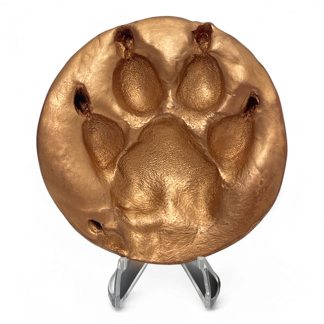 Clay Paw Print Impression with Acrylic Stand - Autumn Gold Foil Finish