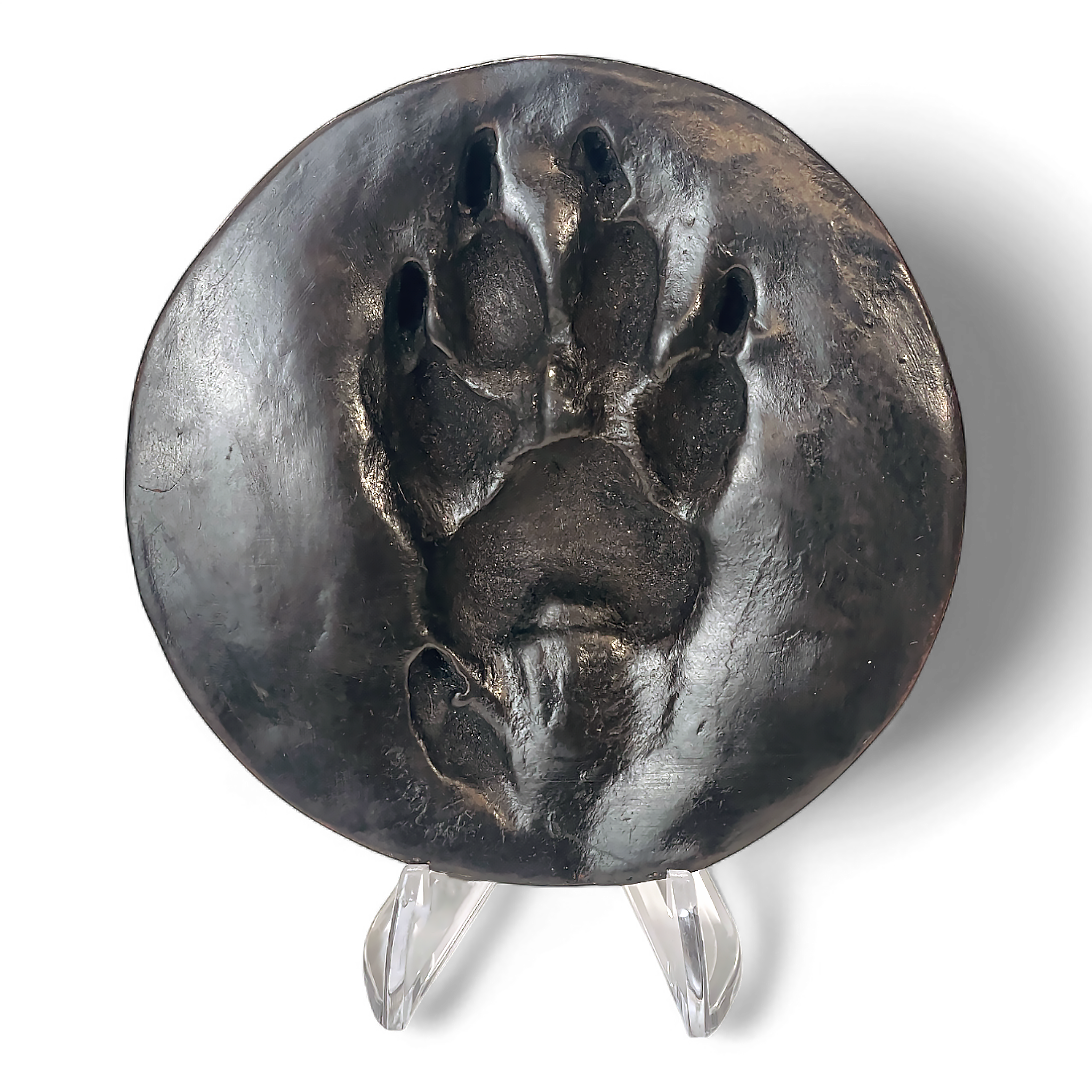 Clay Paw Print Impression with Acrylic Stand - Metallic Ebony Finish