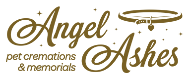 Angel Ashes