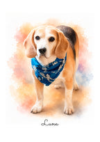 Custom watercolour portrait of Luna the Beagle
