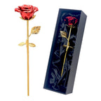 Red rose keepsake urn for pet ashes with gold stem and gift box