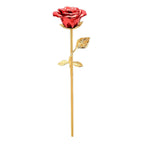 Red rose memorial keepsake urn with gold stem