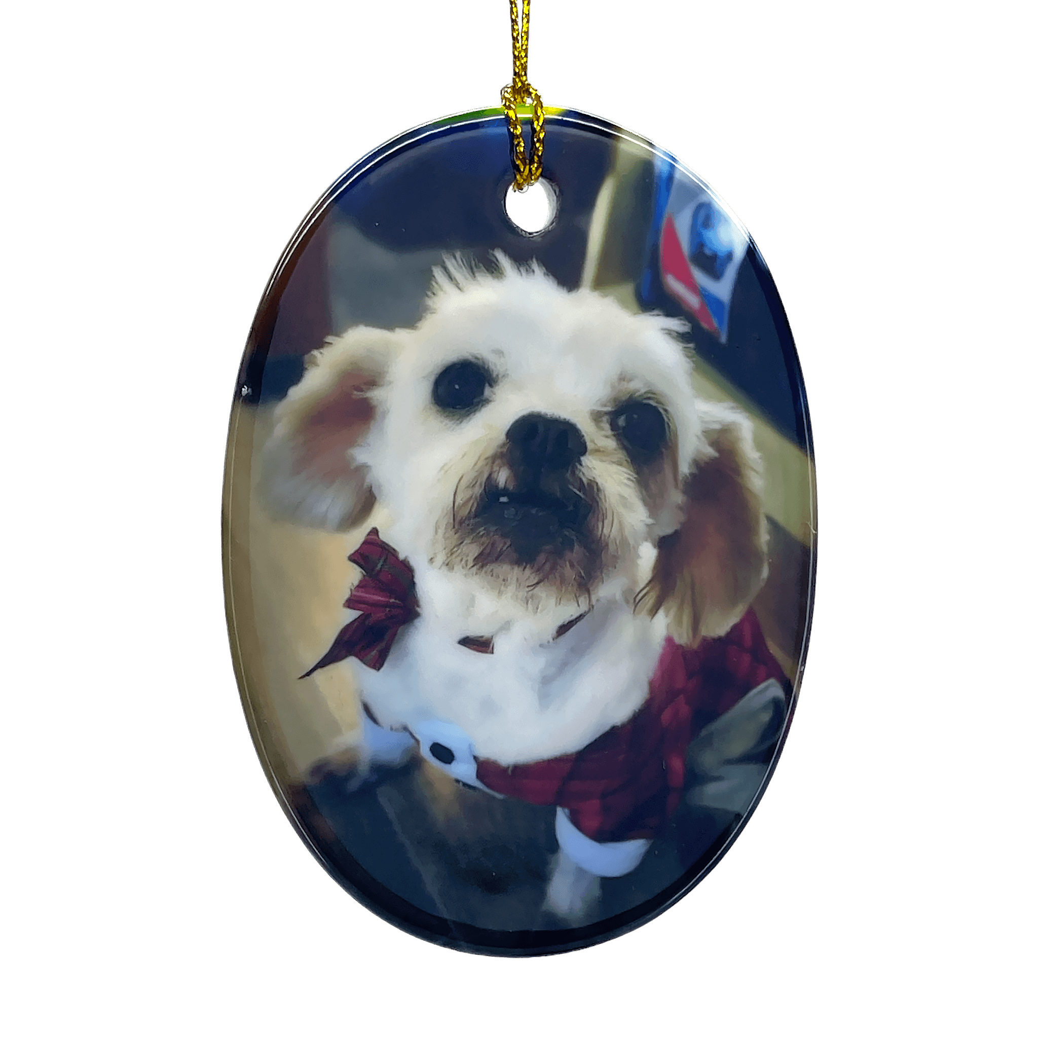 Ceramic Oval Photo Ornament - Custom Pet Memorial Christmas Decoration | Angel Ashes - Angel Ashes