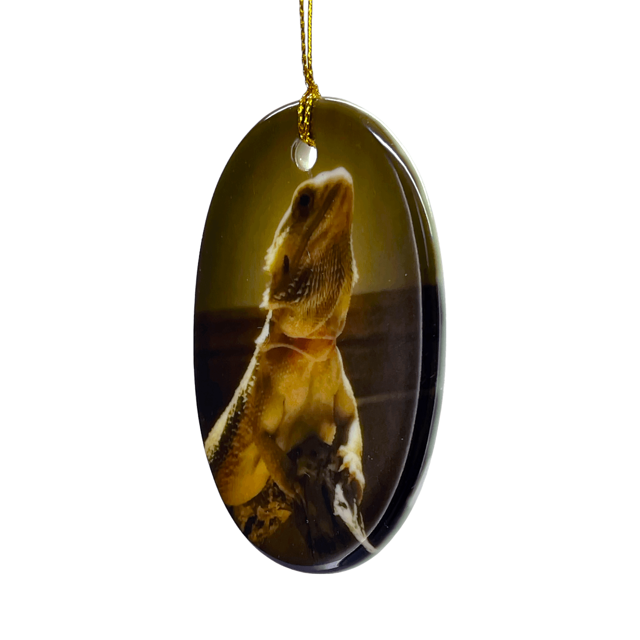 Ceramic Oval Photo Ornament - Custom Pet Memorial Christmas Decoration | Angel Ashes - Angel Ashes