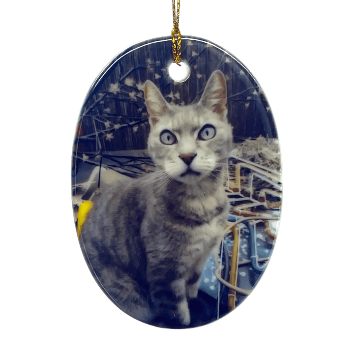 Ceramic Oval Photo Ornament - Custom Pet Memorial Christmas Decoration | Angel Ashes - Angel Ashes