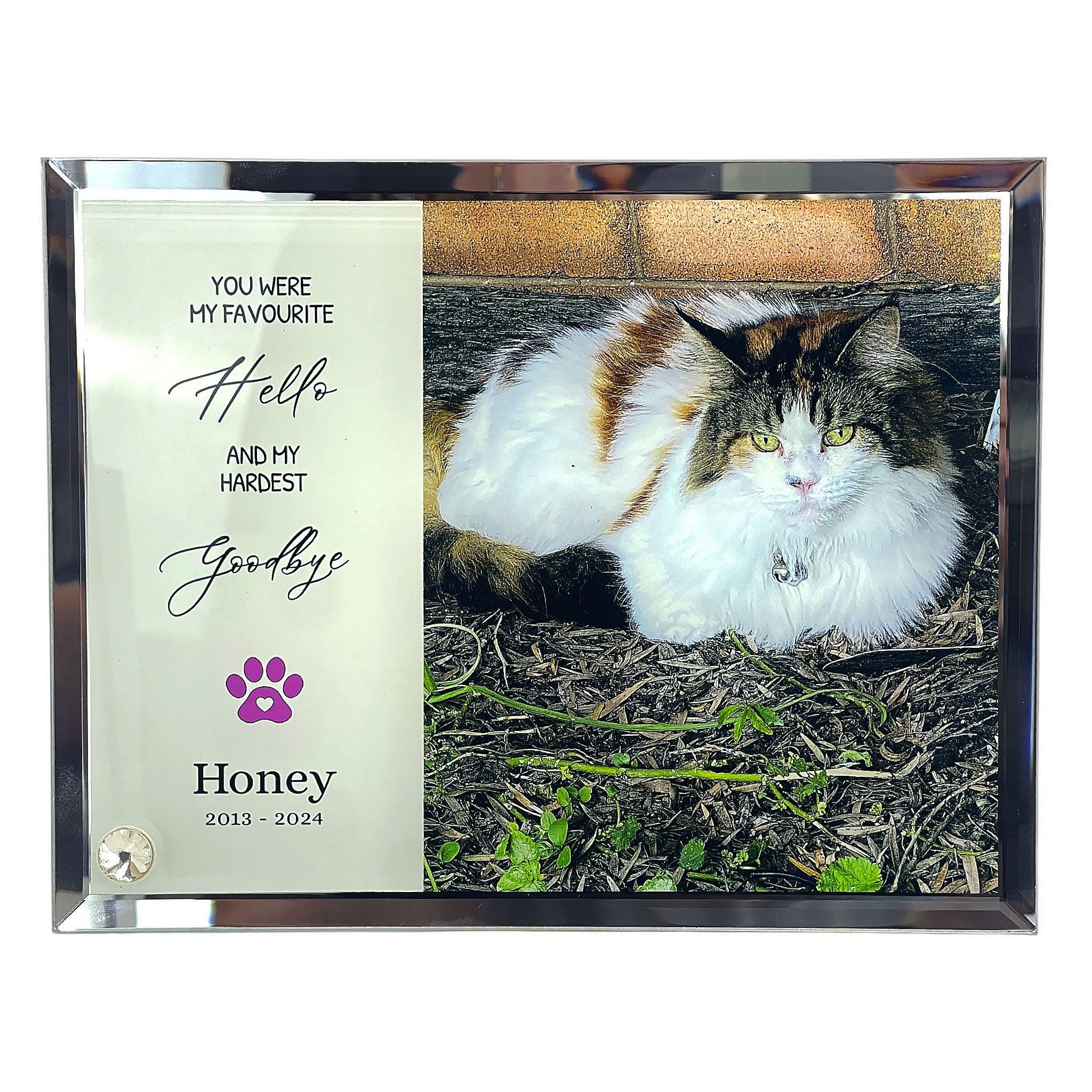 'My/Our Hardest Goodbye' Sublimated Pet Memorial Mirror Edge on Glass Tribute - Angel Ashes