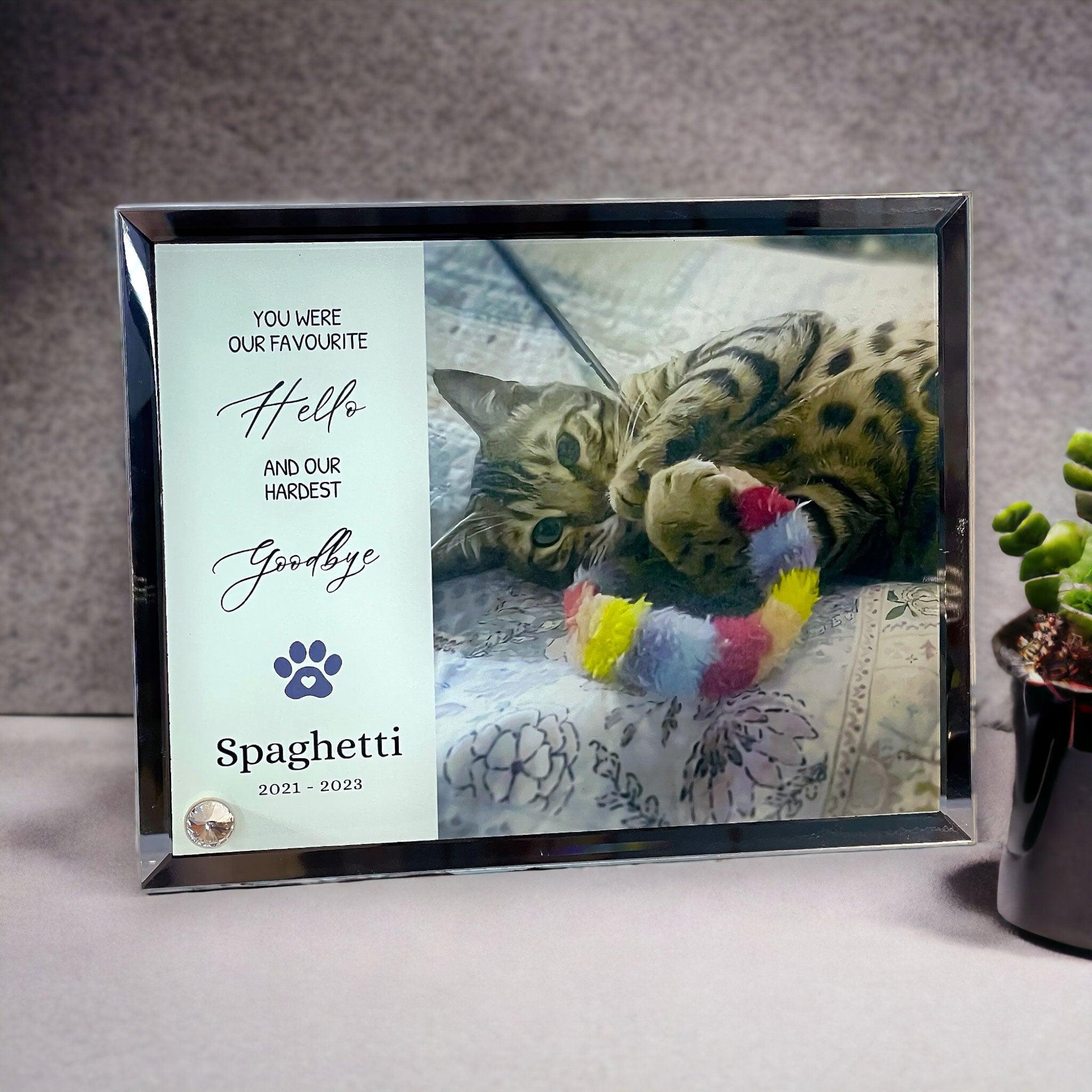 'My/Our Hardest Goodbye' Sublimated Pet Memorial Mirror Edge on Glass Tribute - Angel Ashes