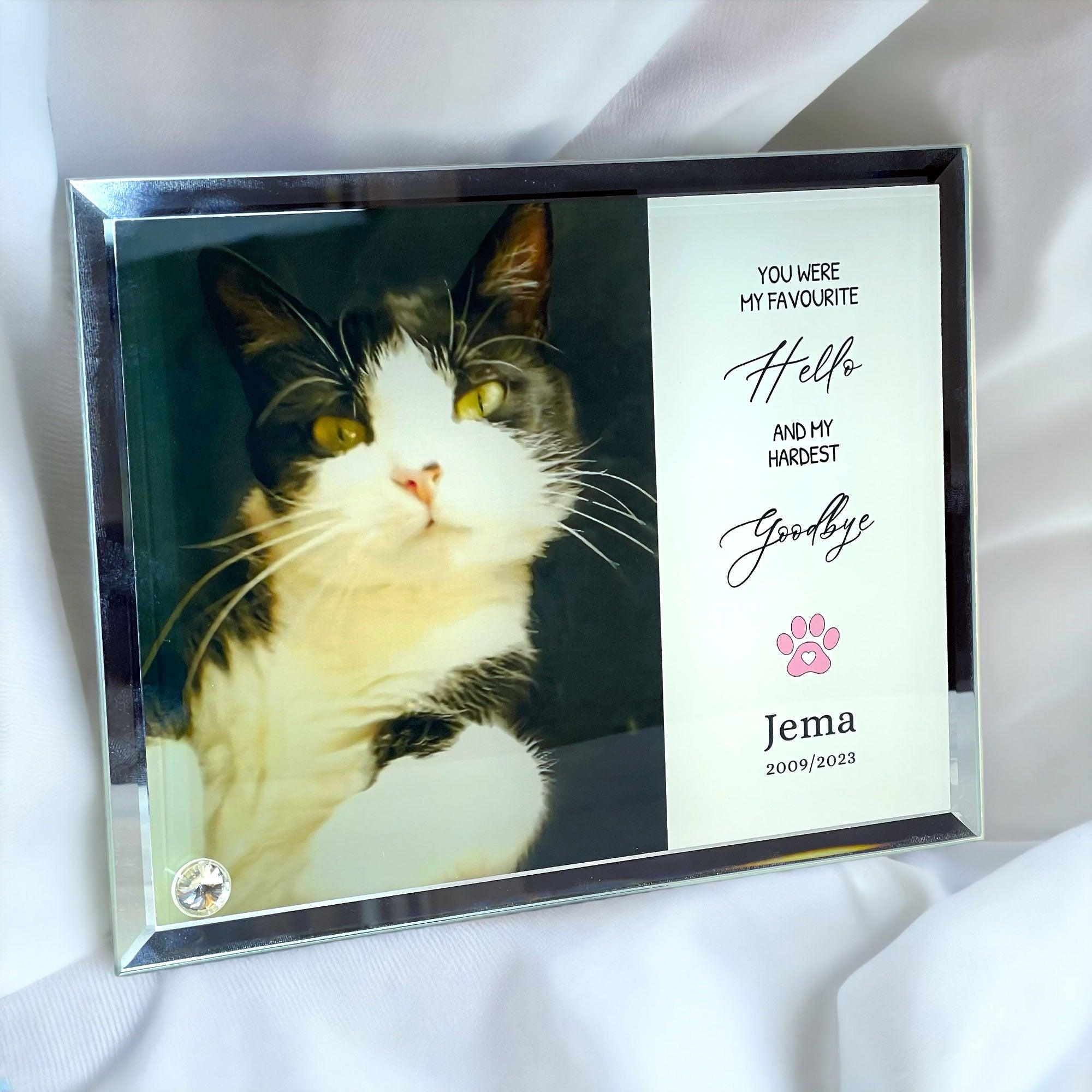 'My/Our Hardest Goodbye' Sublimated Pet Memorial Mirror Edge on Glass Tribute - Angel Ashes