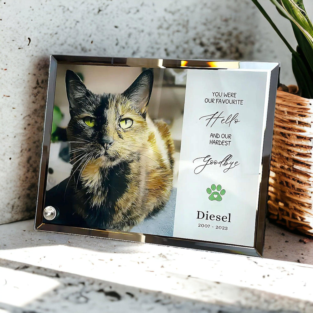 'My/Our Hardest Goodbye' Sublimated Pet Memorial Mirror Edge on Glass Tribute - Angel Ashes