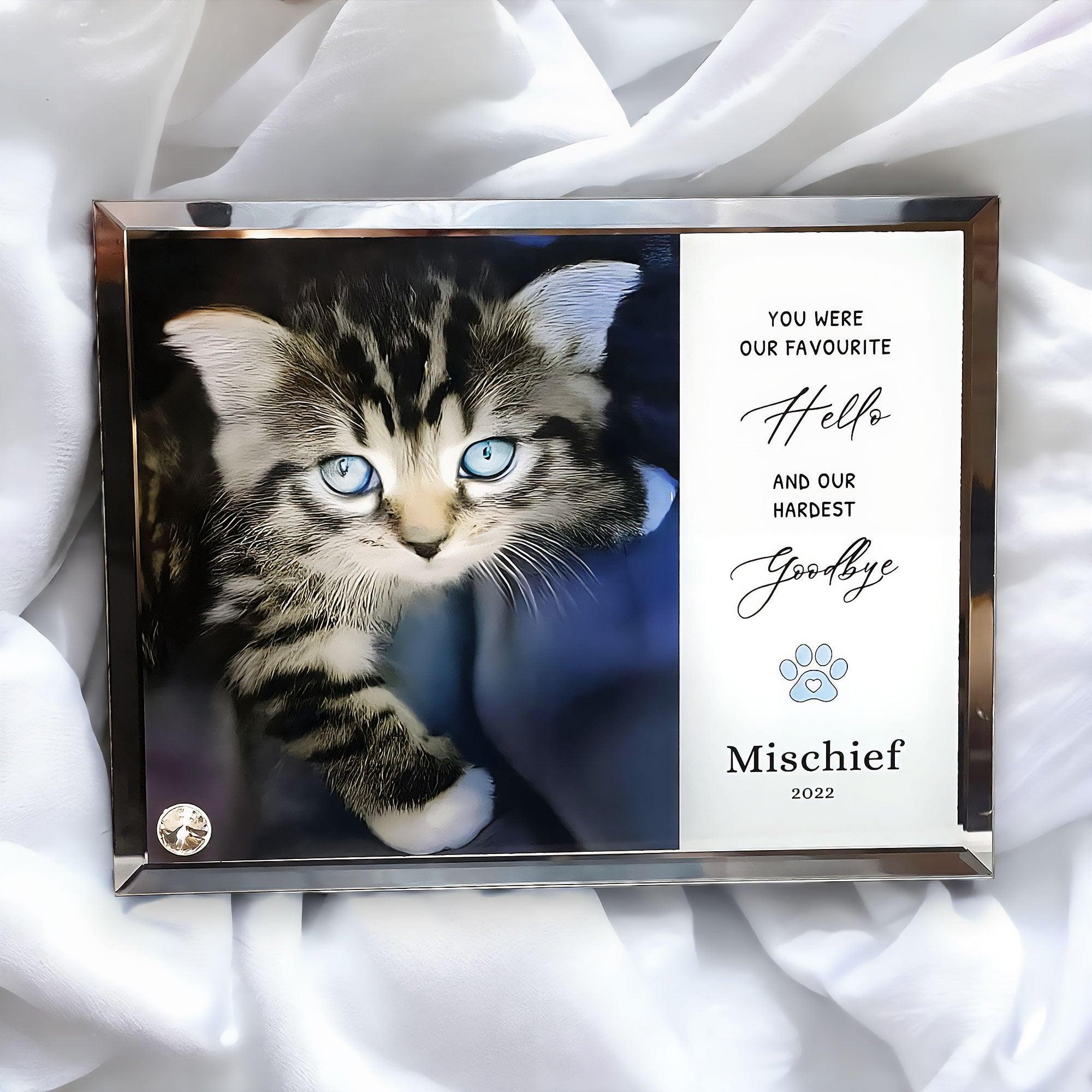 'My/Our Hardest Goodbye' Sublimated Pet Memorial Mirror Edge on Glass Tribute - Angel Ashes