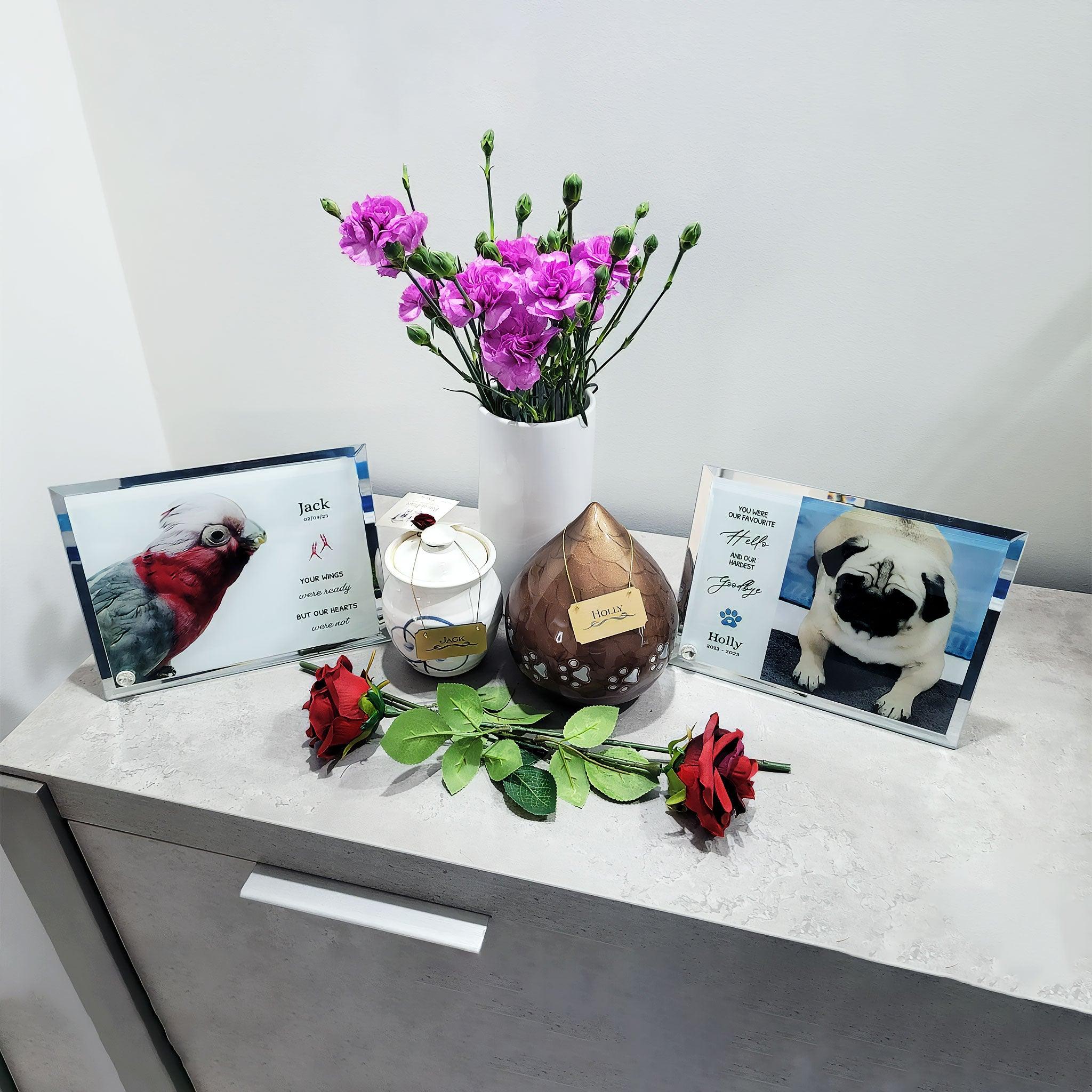 'My/Our Hardest Goodbye' Sublimated Pet Memorial Mirror Edge on Glass Tribute - Angel Ashes
