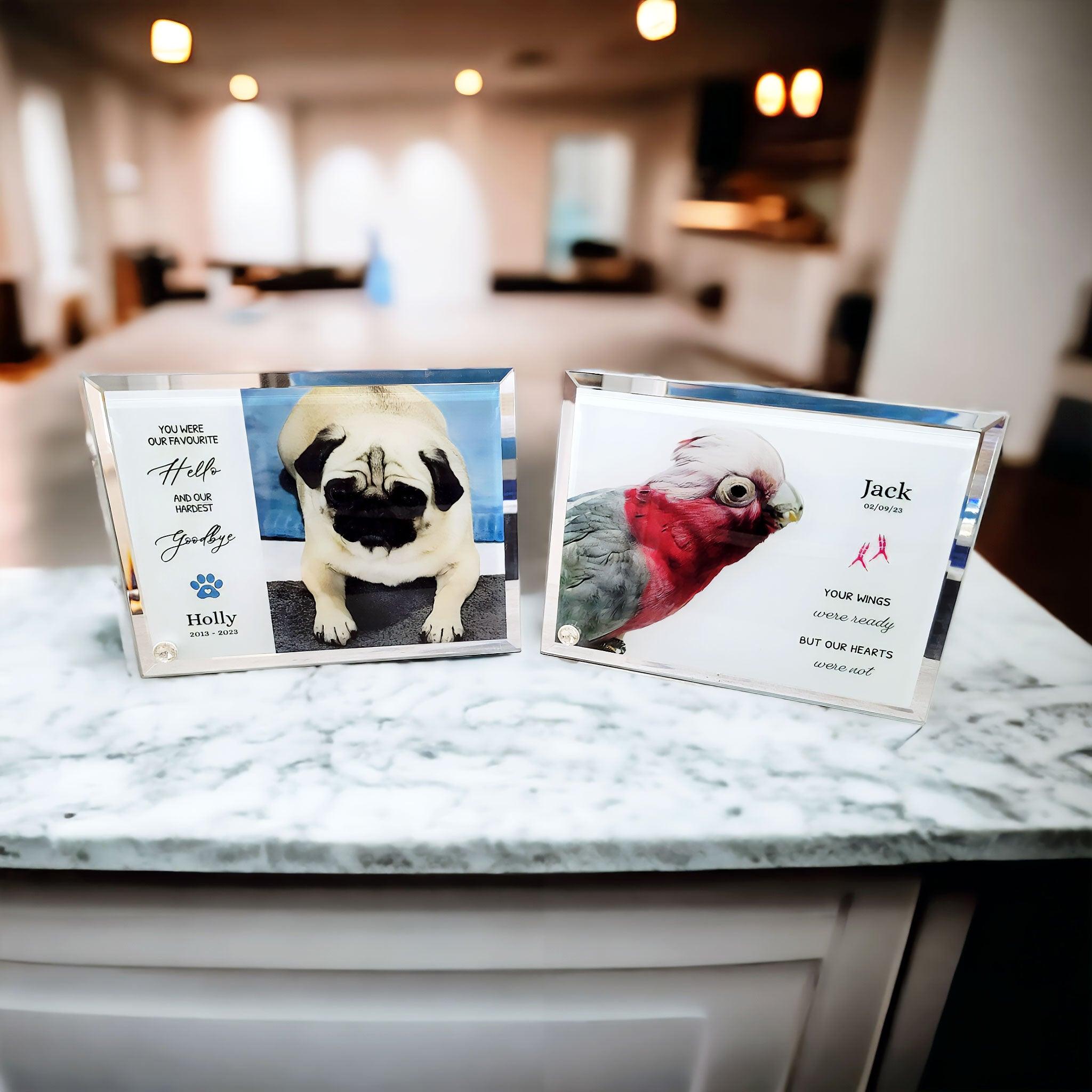 'My/Our Hardest Goodbye' Sublimated Pet Memorial Mirror Edge on Glass Tribute - Angel Ashes