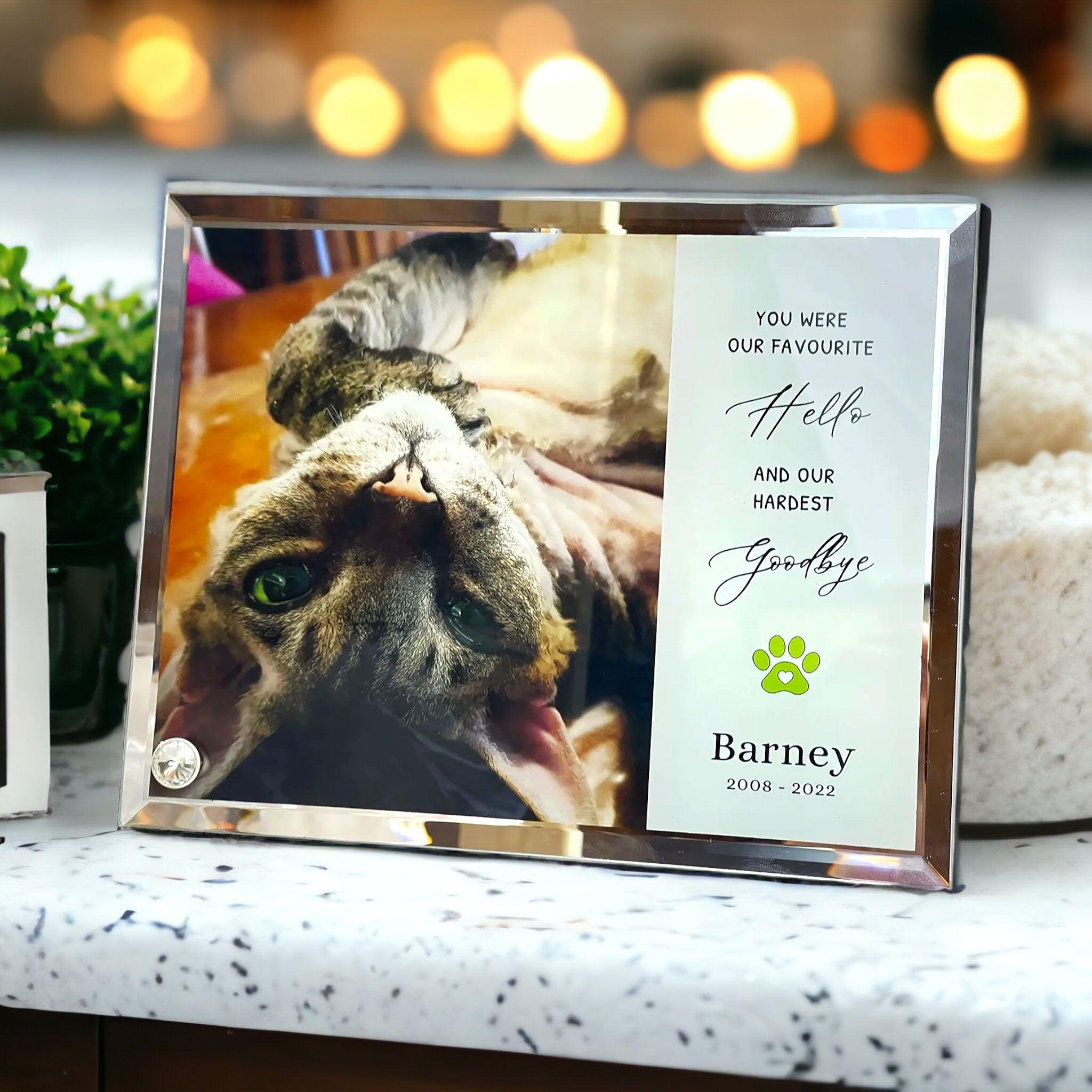 'My/Our Hardest Goodbye' Sublimated Pet Memorial Mirror Edge on Glass Tribute - Angel Ashes