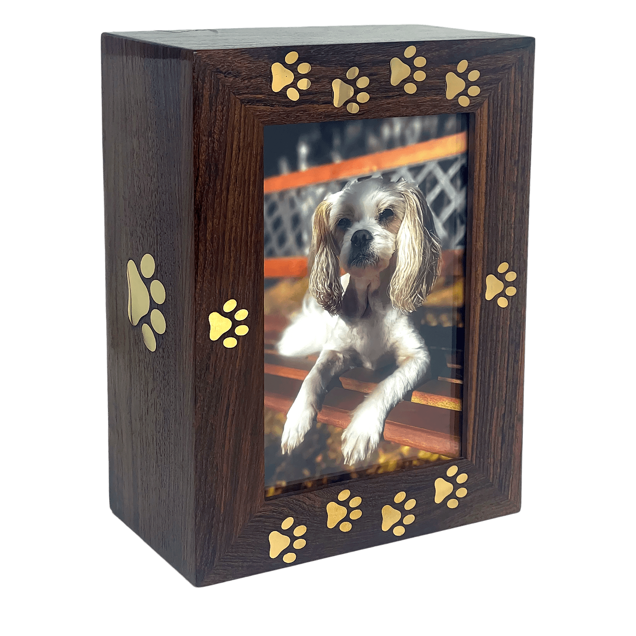 Paws to Heaven Premium Rosewood with Brass Paws | 4x6 Photo Frame Pet Urn - Angel Ashes