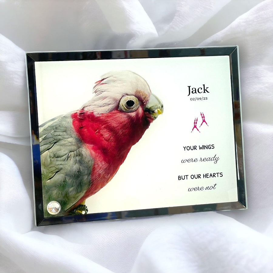 'Your Wings Were Ready' Sublimated Pet Memorial Mirror Edge on Glass Tribute - Angel Ashes