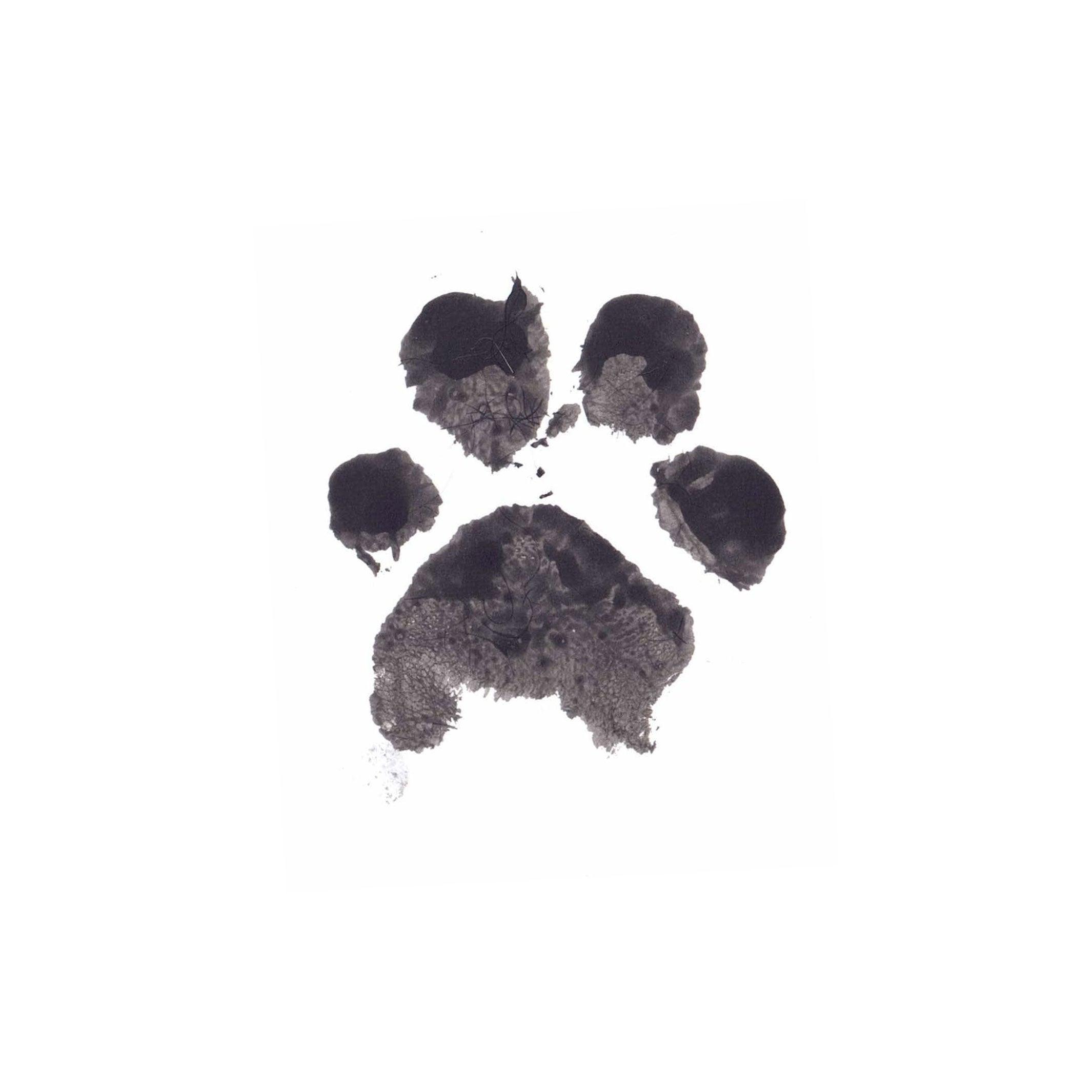 Ink Print | Cat Paw Print Memorial | Glass Paw Print | Paw Print Pet Memorial