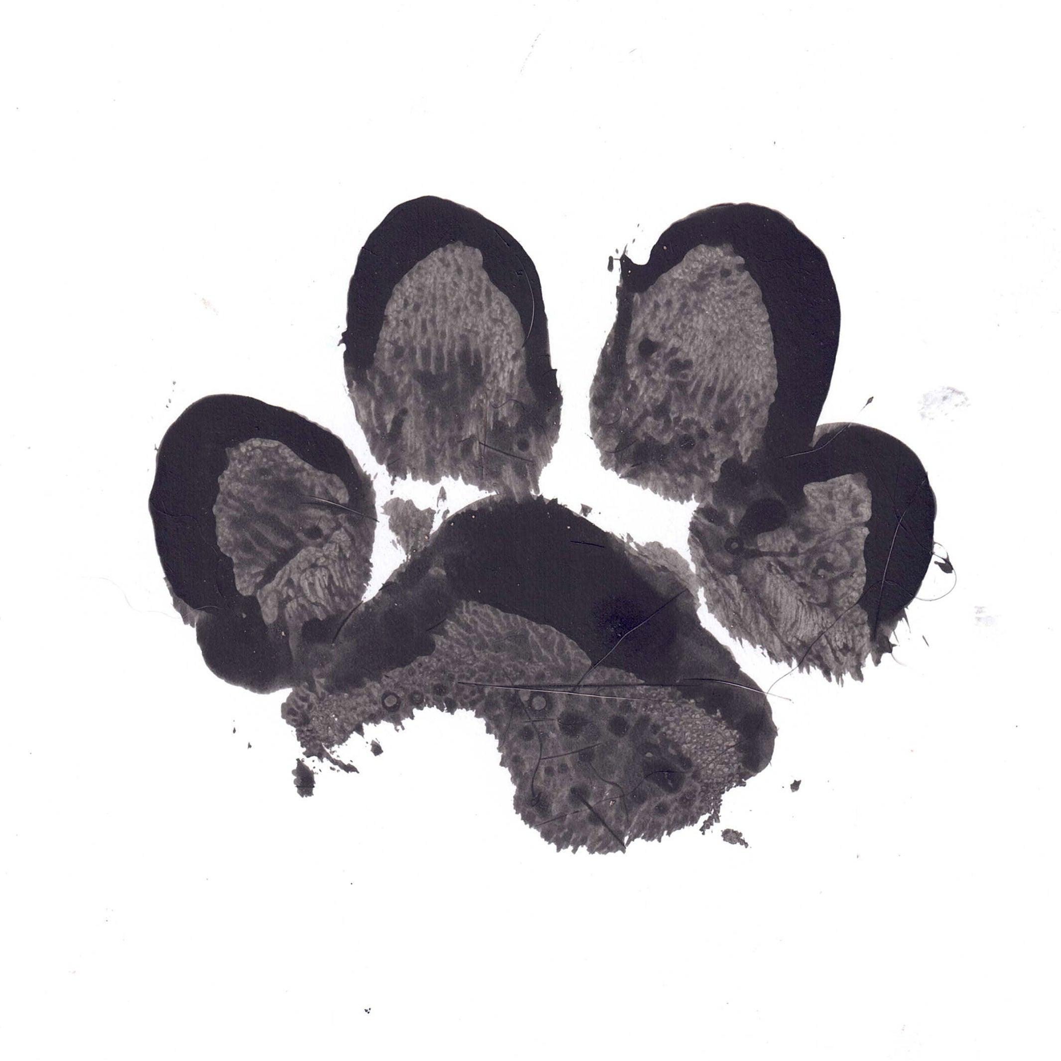 Ink Print | Cat Paw Print Memorial | Glass Paw Print | Paw Print Pet Memorial