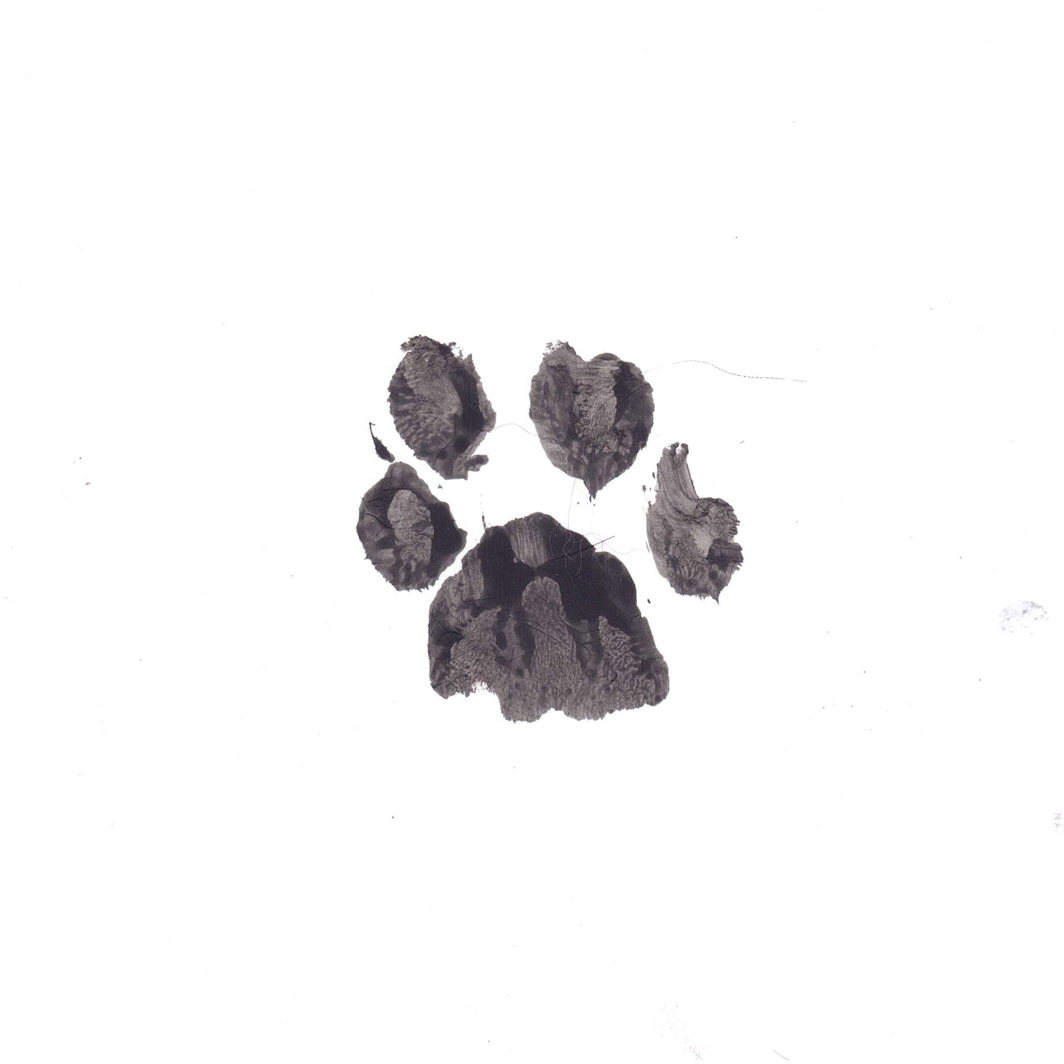 Ink Print | Cat Paw Print Memorial | Glass Paw Print | Paw Print Pet Memorial