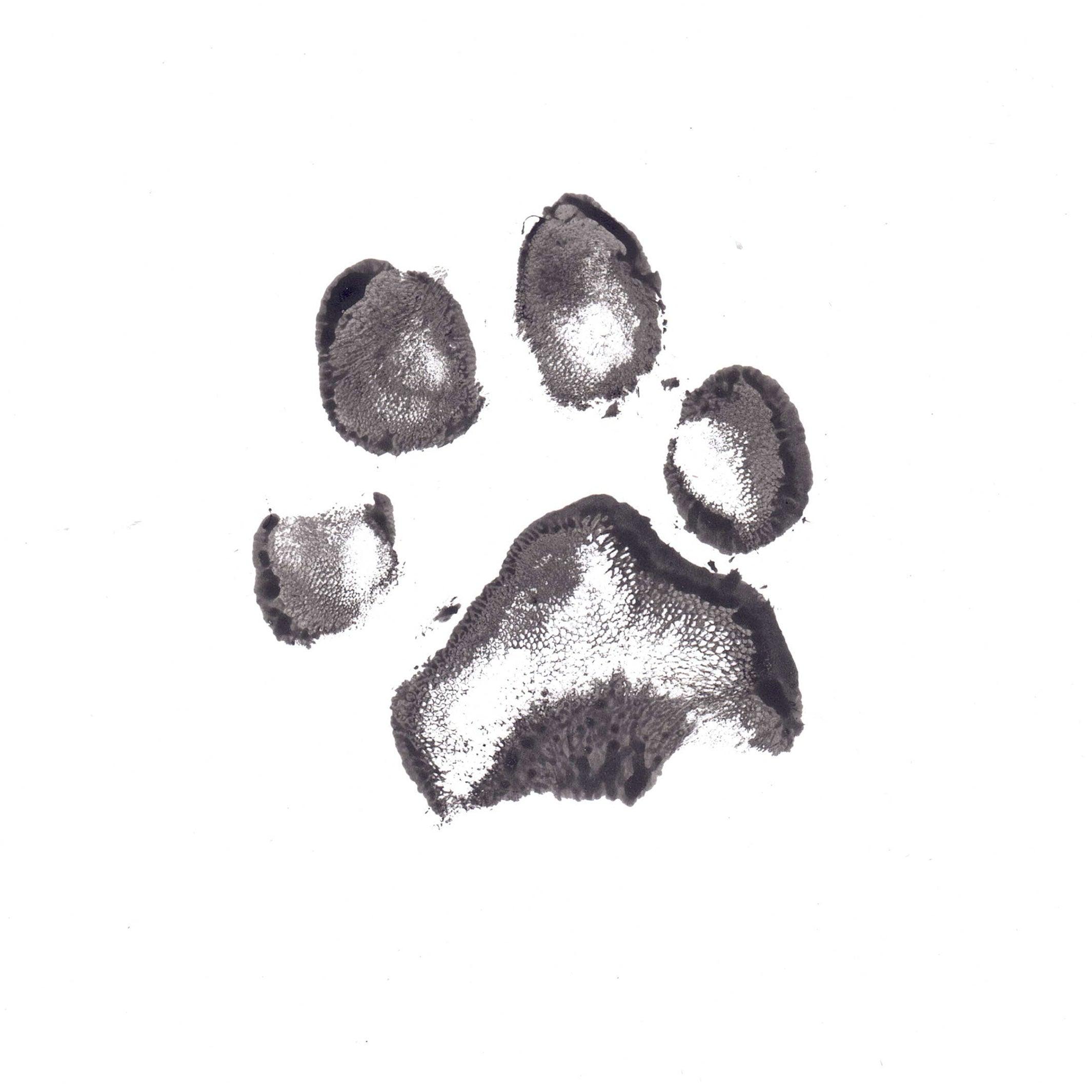 Ink Print | Cat Paw Print Memorial | Glass Paw Print | Paw Print Pet Memorial