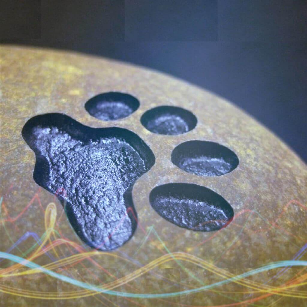 Tumbled River Stone | Engraved Pet Memorial Stone | Outdoor Pet Memorials | Customised Pet Memorials